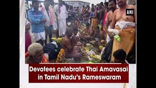 Devotees celebrate Thai Amavasai in Tamil Nadu’s Rameswaram - Tamil Nadu News