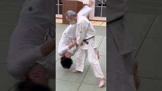 十字投げJu-ji nage#aikido #合気道 #aikidotechniques #martialarts #japanesemartialarts #judo #bjj