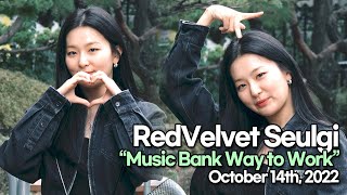 [STARsurvey] RedVelvet Seulgi, Music Bank Way to Work(October 14th, 2022)