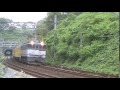 8862レ　東京メトロ銀座線1000系甲種輸送　牽引機ef65 2086　三島～函南間通過