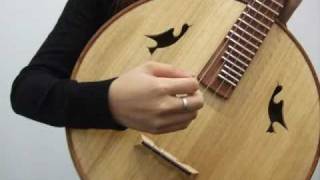 Basic Techniques of Ruan, Chinese Lute