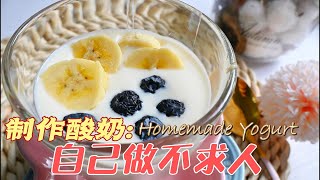 制作酸奶 Homemade Yogurt