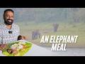 ഒരു ആനകുടുംബവും കട്ടപ്പന ഊണും | An elephant family and Kattappana homely meals with fish fry