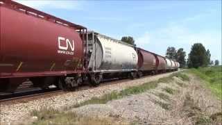 CN 411 (Mixed) @ Matsqui Jct. BC 01AUG14 ES44DC 2318 Leading