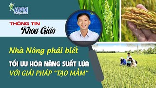 APN - NHÀ NÔNG PHẢI BIẾT CÁCH TỐI ƯU NĂNG SUẤT LÚA | GIẢI PHÁP TẠO MẦM CHO LÚA