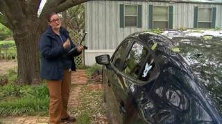 Home and car owners rush to fix hail damage