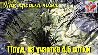 Как пруд пережил зиму! Пруд своими руками на участке 4,5 сотки.