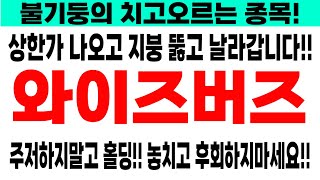 [와이즈버즈 주가전망] 불기둥의 치고오르는 종목! 주저하지말고 홀딩!! 놓치고 후회하지마세요!!