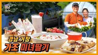 거창 미녀딸기 '설향' 건강한 제철음식 #미녀딸기 #딸기라떼 #딸기샌드위치