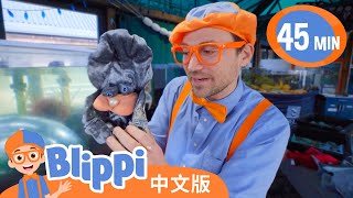 和比利皮学习水下生物 | Blippi 中文版 | 儿童教育视频 | 实景探索