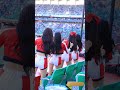 kbo cheerleading baseball game in korea