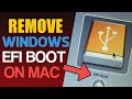 Removing the EFI Boot from my Internal hard drive on Mac | After Windows removal