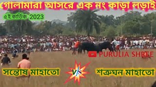 গোলামারা আসরে এক নং কাড়া লড়াই // Golamara Kara larai // Kara larai new update // PURULIA SHREE