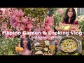 Filipino Vegetable Garden and Cooking | Growing Food #gardening #harvest #pinoyfood