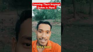 Learning Tharu language spoken in Nepal