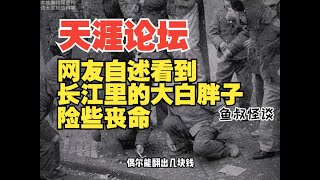 天涯论坛  网友讲述看到长江里大白胖子之后一年的离奇经历