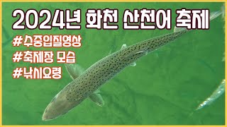 화천 산천어축제 얼음낚시(feat. 수중입질영상)