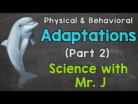 What are 2 behavioral adaptations?