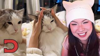QuarterJade reacts to Daily Dose of Internet's "He Has Really Stretchy Skin"