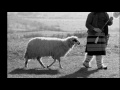 ciobanul care și a pierdut oile the shepherd who lost his sheep