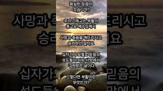 먼저 들어보는 주일예배 설교 중에서