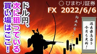 FX【ドル円予想】週末のトレードも無事に利益確定！現在は売りポジション保有中。そして次に狙うべき買い場をご案内【ローソク足トレード手法】2022年6月6日