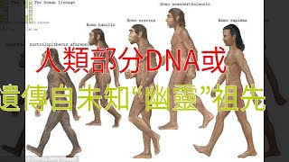 人類部分DNA或遺傳自未知“幽靈”祖先