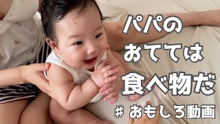 Funny baby trying to eat daddy`s fingers｜5month old Japanese baby boy