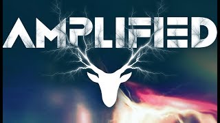 Amplified 2017