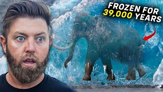 5 Prehistoric Animals Found Frozen in Ice