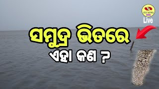 ସମୁଦ୍ର ଭିତରେ ଏହା କଣ ? What is in the Sea//Please Subscribe Our Channel 🙏🔔