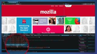 Page Inspector