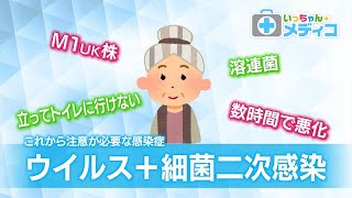 これから冬にかけ注意が必要な感染症③ウイルス＋細菌の二次感染【いっちゃん☆メディコ】