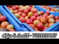 18 01 25 mulakalacheruvu tomato market price today today tomato market rate in mulakalacheruvu