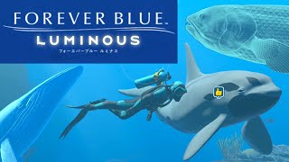 リアルでかつ謎多き海を探検できる新作ゲーム | FOREVER BLUE LUMINOUS　フォーエバーブルー ルミナス