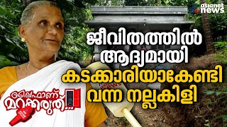 ലൈഫിൽ അനുവദിച്ച വീട് നിർമ്മാണം പൂർത്തിയാക്കാനും കടമെടുത്ത്  ജനം | Life Project | Roving Reporter