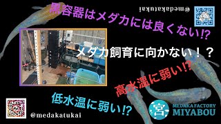 NVボックス買う前に見て‼︎10秒で洗う方法と使用する上での注意点‼︎