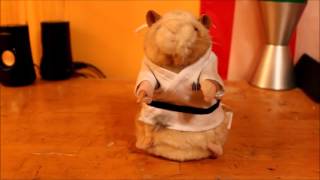 Gemmy - Kung Fu Hamster