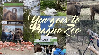 What are the things to do in Prague Zoo?