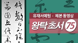 왕탁초서 75 - 九. 王屋山圖卷 왕옥산도권 王鐸詩 왕탁시 ③梅公臨行邀子過齋中 매공림행요자과재중 (一任) 일임 중반부  Wang Duo cursive script