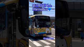 부산 #부산마린버스 #어린왕자  #tayobus  #타요버스  #부산대중교통  100번 #busan