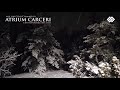 Cold Survival Music