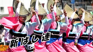 春らんまん阿波おどり　新ばし連　はなはるフェスタ2019