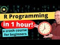 R programming in one hour - a crash course for beginners