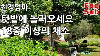 친정엄마 텃밭에 놀러오세요. 18종 이상의 채소/eomma's garden, more than 18 kinds of vegetables