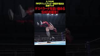 【新日本プロレス】デスペラードを追い詰めるSHOの猛攻！  #shorts