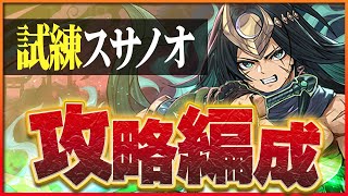 【試練ダンジョン】スサノオ試練進化用編成！ノルディスループで簡単攻略！【パズドラ】