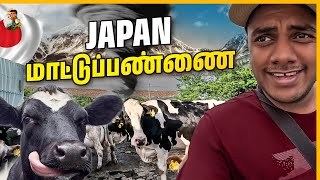 மாடு மேய்க்கவும், மனுஷனை மேய்க்கவும் ஒரே சம்பளம்!! | Japan | Tamil Trekker