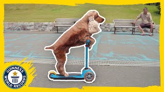 My Dog Skates and Scooters! - Guinness World Records