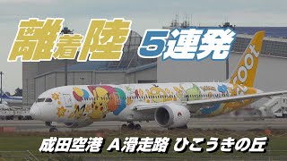 【4K】成田空港 ひこうきの丘 Aランより離着陸する飛行機５連発